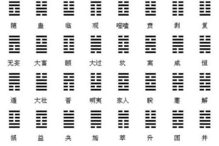 路字五行属性解析与命理影响