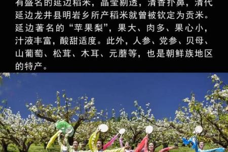 朝鲜族传统节日的文化内涵与庆祝方式