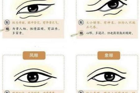 作家文人的八字特点与命运轨迹解析