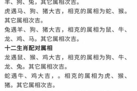 女虎男鼠婚姻配对分析：性格差异如何影响两者关系