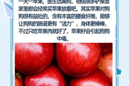 水果名字为狗年宝宝增添幸运与甜美气息