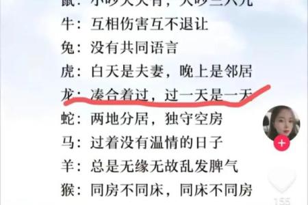 蛇和猪相配婚姻：性格差异如何影响长久关系