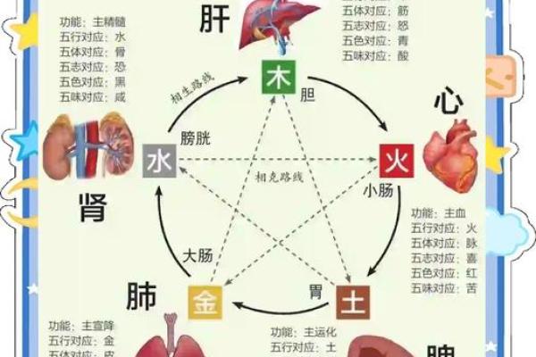金命和火命的五行理论与命理关系