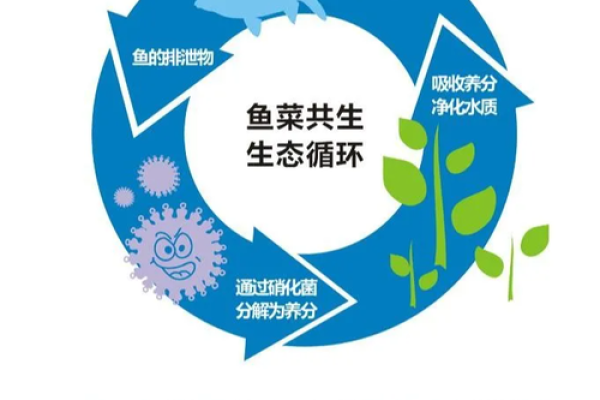 如何为水产品公司起一个既有创意又具吸引力的名称