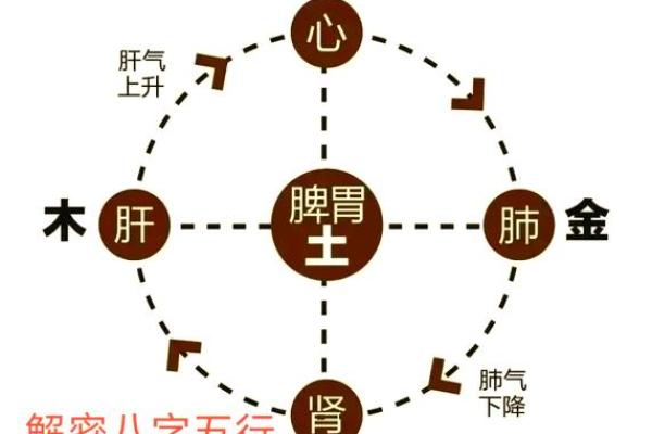 八字算五行的奥秘与实践解析