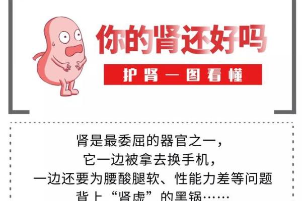 深入解读命软：它对你的生活有何影响