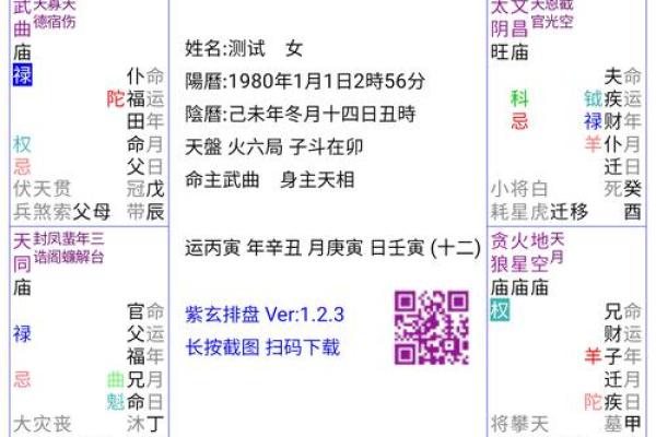周易排盘系统的奥秘与应用解析