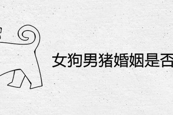 男猪与女马婚姻匹配度分析：性格与命运的碰撞