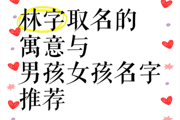 林姓女孩名字大全，带来温柔与力量的完美选择