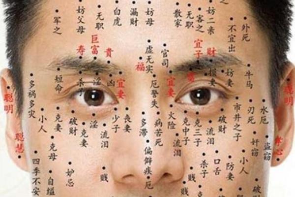 脸上痣相解析：凶吉之痣的位置与意义揭秘