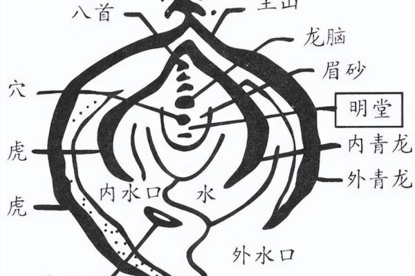 玄武方的风水布局技巧与实践指南