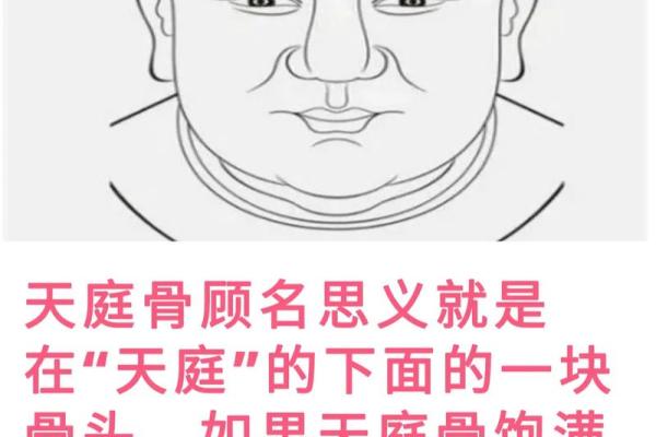 解读面相中的头骨特征与性格关系