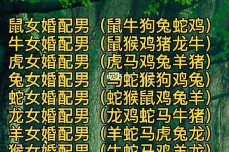 男猪女牛婚姻匹配度分析：性格差异与相互补充