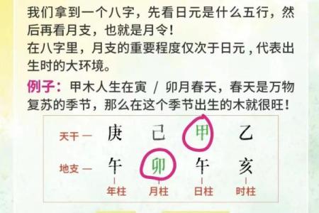 八字绝的含义与解读：如何从命理中识别八字绝的迹象