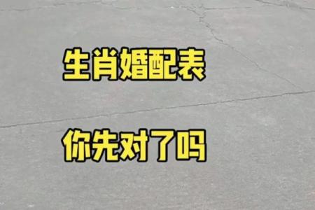 生肖男鸡女猪婚姻合适吗？从性格看配对