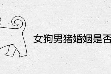 男猪与女马婚姻匹配度分析：性格与命运的碰撞