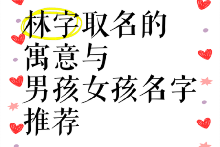 林姓女孩名字大全，带来温柔与力量的完美选择