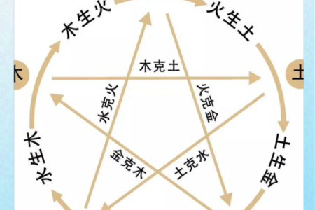 刘丹命理：探索五行与八字的神秘关系