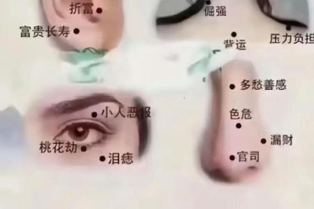 脸上痣相解析：凶吉之痣的位置与意义揭秘