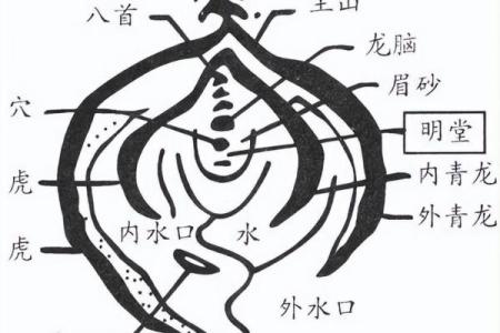 玄武方的风水布局技巧与实践指南