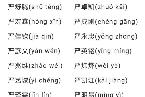 严姓宝宝取名指南 让孩子名字更有寓意与独特性