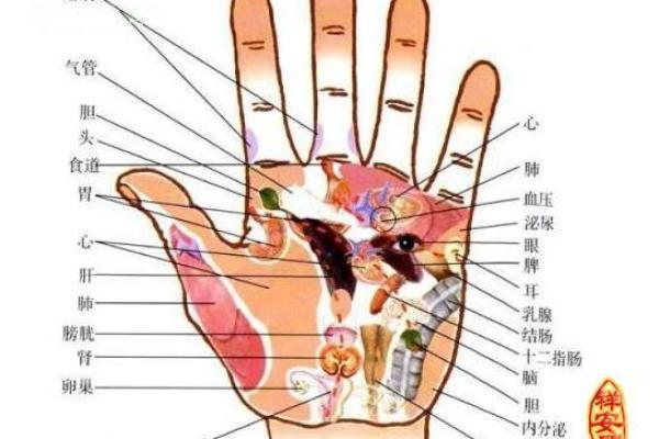 手相医学与身心健康的深层联系