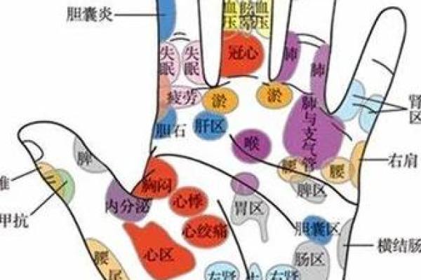 手相医学与身心健康的深层联系