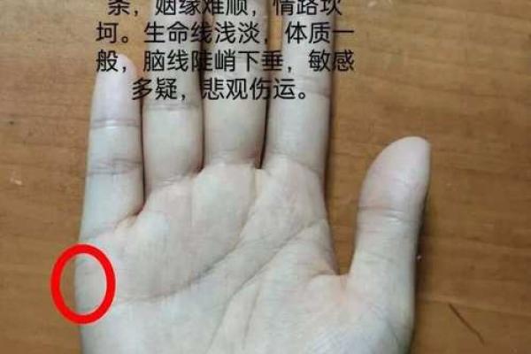 通过手相看牢狱之灾：掌纹中隐藏的困境与转折