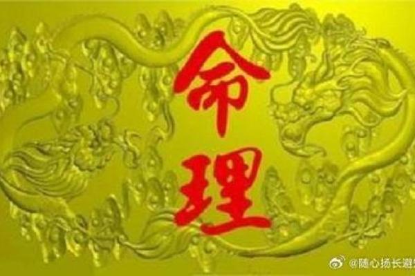 解密大贵的命背后的命理玄机