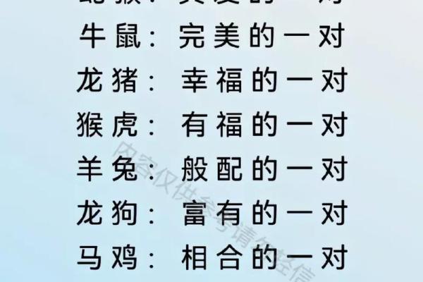 蛇与马婚配分析：能否走到一起的性格契合度