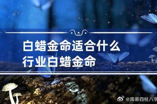 如何判断自己是否属于白蜡金命