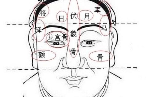 揭示富贵命面相的独特特征与含义
