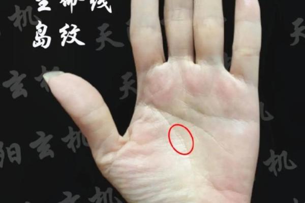 金星丘横纹多的手相象征着什么