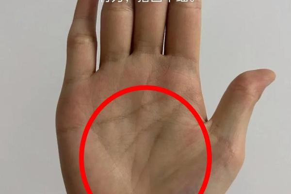 梯形手相分析：如何通过手掌形状预测未来趋势