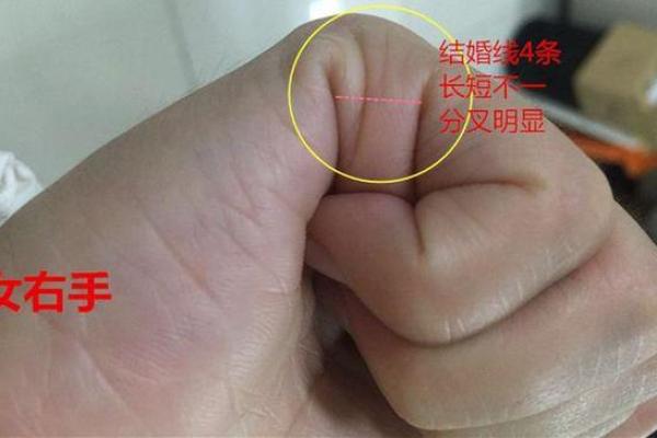 手相解析：你是否注定遇到真爱？