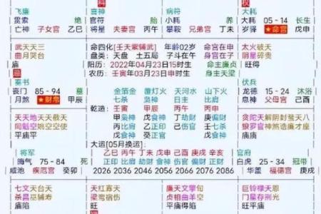 在线紫微排盘，精准分析个人运势