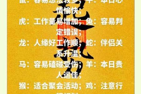 每月生肖运势大解析：基于生肖日历预测你的未来