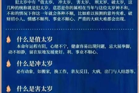揭秘王凯命理学：从八字看个人性格与未来发展