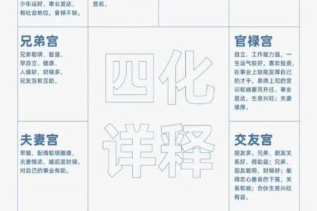 紫微斗数与八字命理哪个更准确揭秘