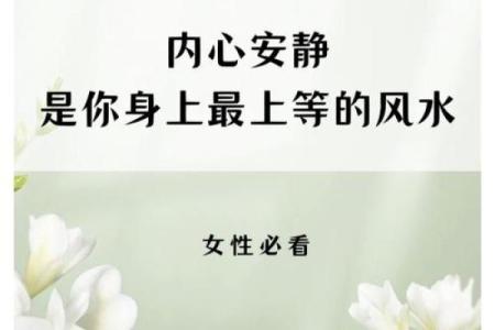 探索中国个人风水的核心原则与应用