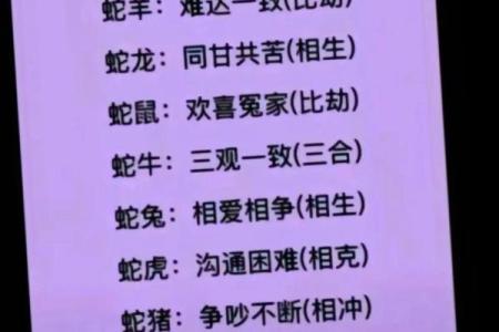 蛇与马婚配分析：能否走到一起的性格契合度