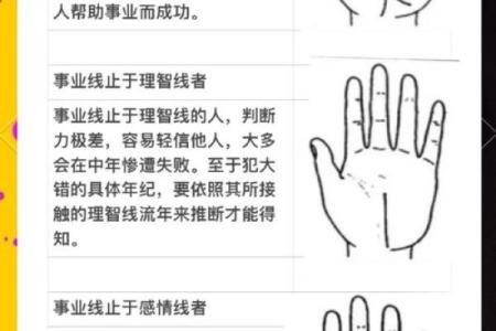 断掌线的命理奥秘与人生走向分析