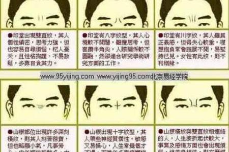 八字眉面相解析：揭示命运与性格的深层联系
