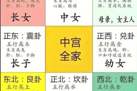 从命理瑰宝到人生洞察：揭示命运与运势的微妙联系