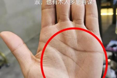 梯形手相分析：如何通过手掌形状预测未来趋势
