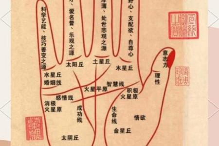 掌中奥秘：如何通过手相分析个人性格与未来
