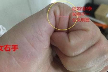 手相解析：你是否注定遇到真爱？