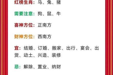 是属什么生肖及其相关运势分析