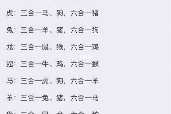 明年生肖是哪个？生肖属相大解析