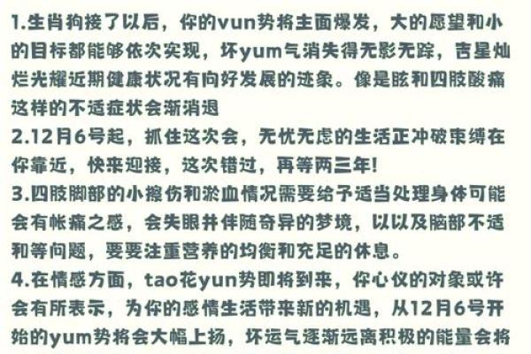 属狗女性下半年运势走向：如何应对工作与爱情的考验